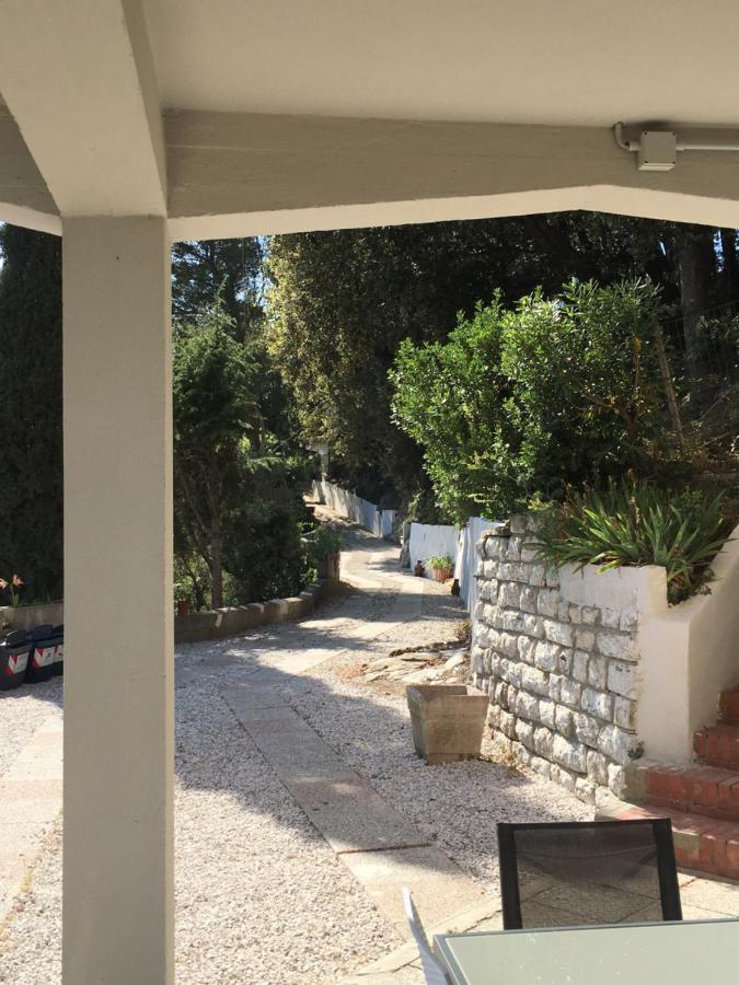 Villa Erika Montenero  Extérieur photo